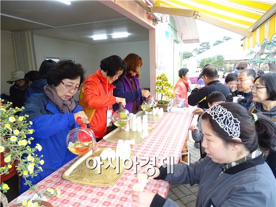 [화보]그윽한 국화향기로 진동하는 함평국향대전 절정