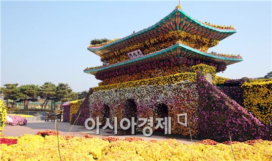 [화보]그윽한 국화향기로 진동하는 함평국향대전 절정