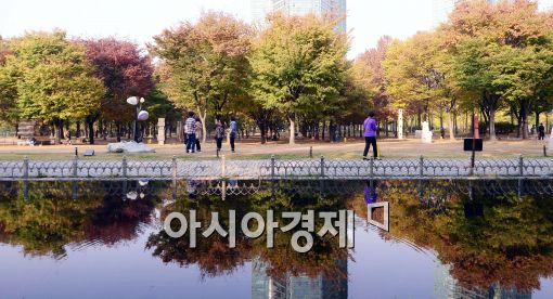 [포토]추위는 가고…단풍 즐기는 시민들