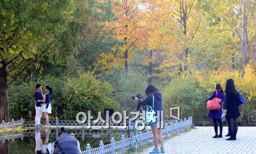 [포토]'단풍과 함께 웨딩 촬영'