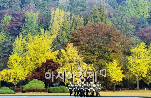 [포토]단풍으로 물든 현충원