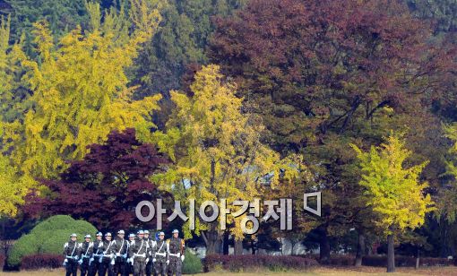 [포토]알록달록한 단풍으로 물든 현충원