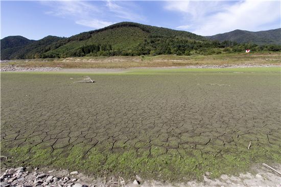 과거 2015년 가뭄 당시 보령댐 상류 모습