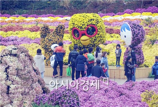 가을비가 오락가락 하는 가운데 휴일인 8일 가을 대표축제인 '2015대한민국 국향대전’이 열리고 있는 함평엑스포공원에 많은 관광객들이 찾아와 그윽한 국화향기를 맡으면서 늦가을정취를 만끽하고 있다.
