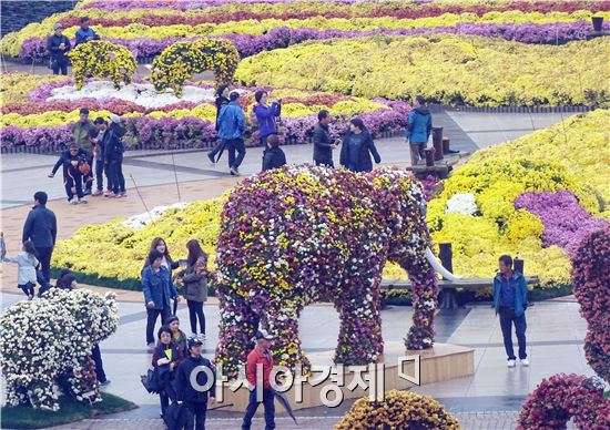 [포토]가을비에 젖은 국화