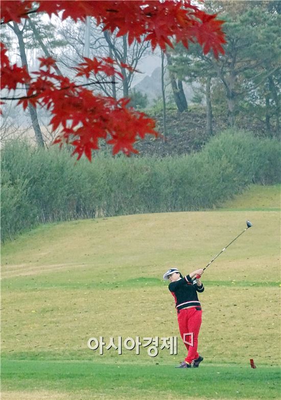 [2015 호남아시아경제 아마추어 골프대회]붉게 물든 단풍사이로 굿샷