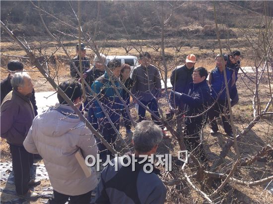 곡성군, 과수 영농현장 애로기술 현장 해결