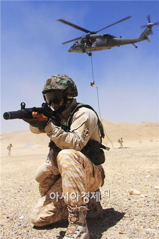 국방부 “아크부대 철수보고 사실무근”