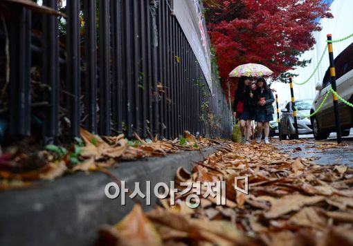 [포토]낙엽 밟는 소리와 빗방울 소리 