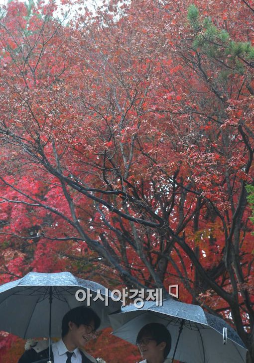 [포토]가을비 내리는 풍경 