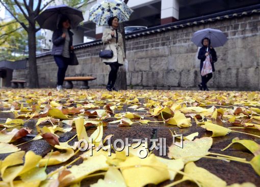 [포토]'단풍길 지나가는 시민들'