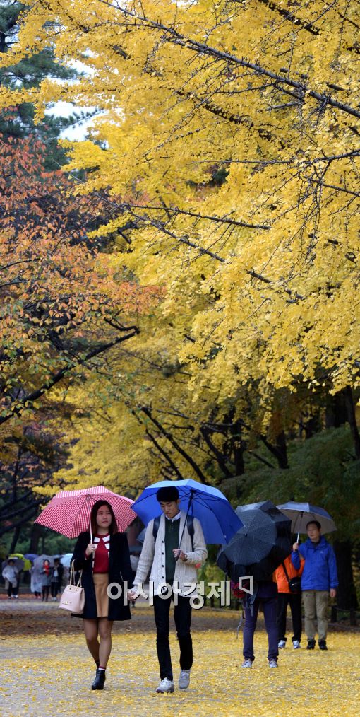 [포토]알록달록한 단풍과 우산 쓴 시민들