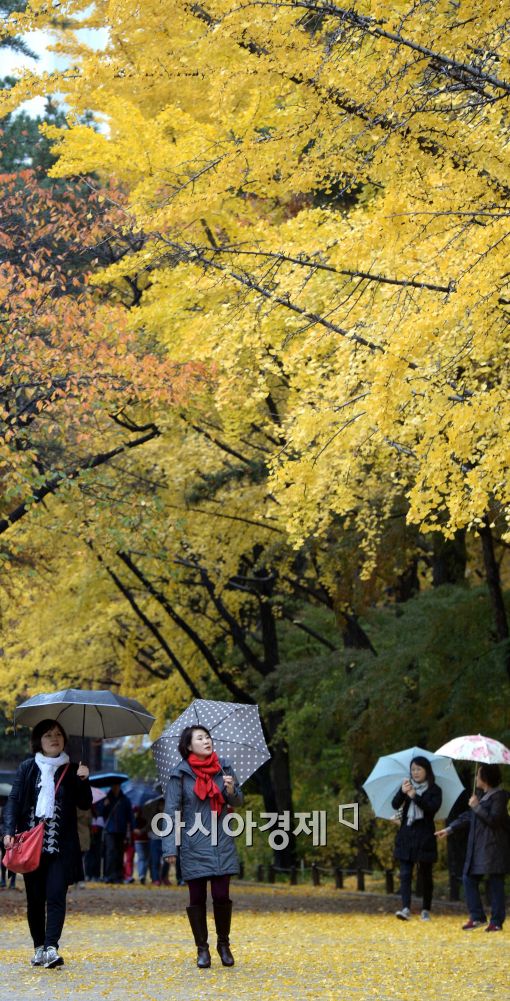 [포토]'가을비와 함께'