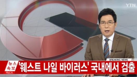 '웨스트 나일 바이러스' 국내서 검출…"미국에서 28명 숨져"