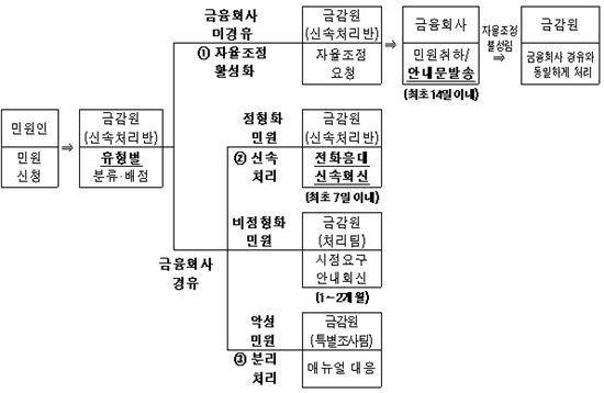 금감원 민원 신속처리반·특별조사팀 신설 