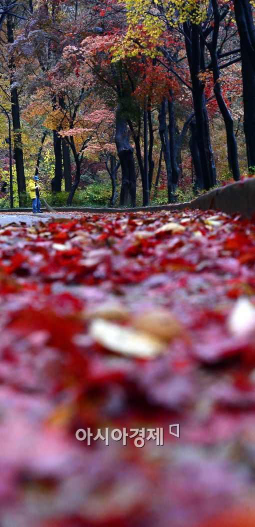 [포토]'낙엽 떨어진 길'