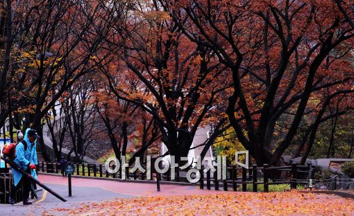 [포토]'계절이 끝나다'