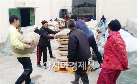 곡성 청년단체의 공공비축미곡 수매 일손돕기 ‘눈길’