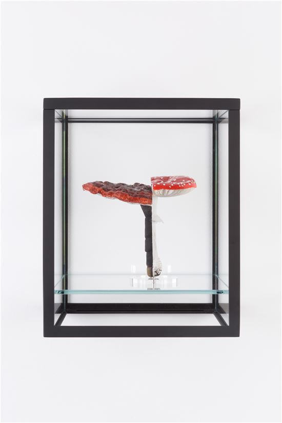 독버섯을 먹은 순록의 오줌, 그 환각을 전시하다