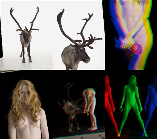 독버섯을 먹은 순록의 오줌, 그 환각을 전시하다