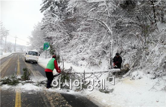 30cm 폭설, 순창군 쌍치면 자율방재단 땀으로 말끔히 청소