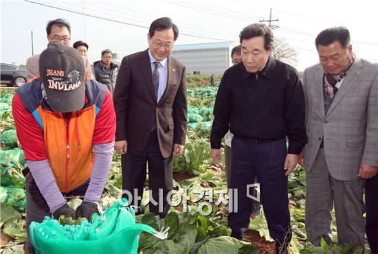 이낙연 전라남도지사는 30일 김장배추(가을배추) 수확이 한창인 해남 산이면 덕송리 덕곡마을을 방문해 농업인들을 격려하고 병해충 등 재배관리를 철저히 해줄 것을 당부했다.사진제공=전남도