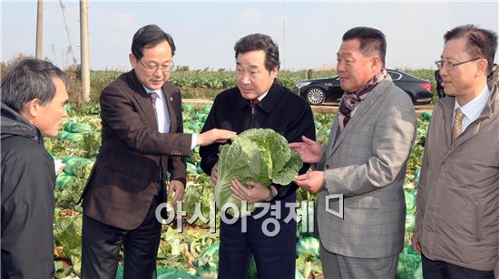 이낙연 전남도지사, “김장배추 병해충 등 관리 철저”당부