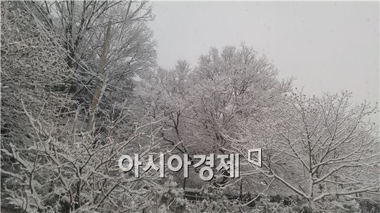 중부지방 대설주의보 발효…"내일은 더 춥다"