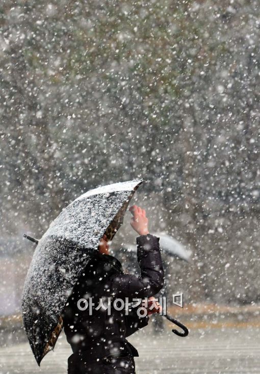 [포토]함박눈 담기 
