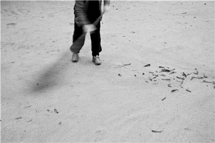 [조문환의 평사리日記]아버지와 단풍이