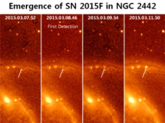 ▲제1a형 초신성 SN 2015F가 나타난 NGC 2442 은하 모습. NGC 2442는 약 8000만 광년 떨어진 곳에 있는 나선은하이며 지구 남반구에서만 관측이 가능하다. 그림에서 노란색 박스로 표시된 부분에서 초신성 폭발이 있어났다.[사진제공=미래부]

