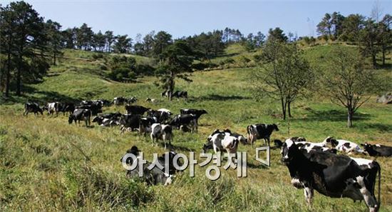 지리산치즈랜드 관광농원