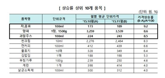 가격 상승률 상위 10개 품목 [자료=한국소비자원 제공]