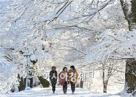 [포토]눈 내린 관방제림 “그야말로 환상의 ‘설경’”
