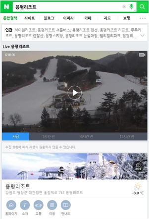"네이버에서 서울광장·스키장 전경 한눈에 보세요"