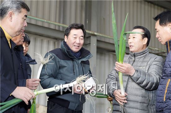 이낙연 전남지사는 19일 신안군 임자도를 방문, 대파 재배단지와 가공 현장을 둘러보고 농업인들을 격려했다. 임흥빈 도의원, 송경일 신안부군수, 정태실 임자농협조합장, 김광수 임자대파연구회 회장이 동행했다. 사진제공=전남도