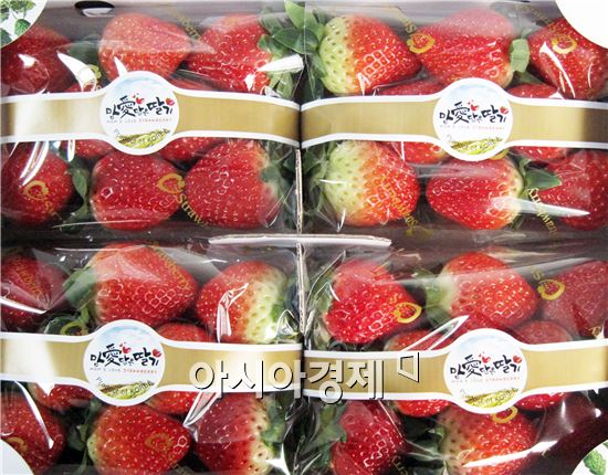 곡성 ‘맘愛담은 딸기’동남아 수출시대 활짝