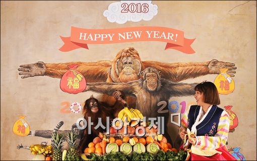 [포토]2016年 원숭들의 새해 인사