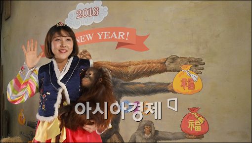 [포토]귀여운 원숭이의 새해 인사
