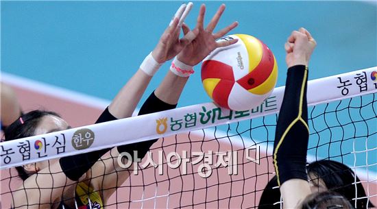 [포토]'가위·바위·보 싸움에서 이겼네'