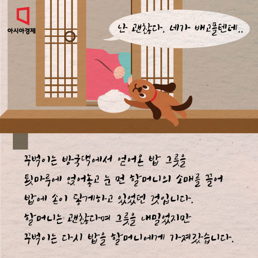 [카드뉴스]순천 동냥개 이야기