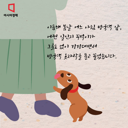 [카드뉴스]순천 동냥개 이야기