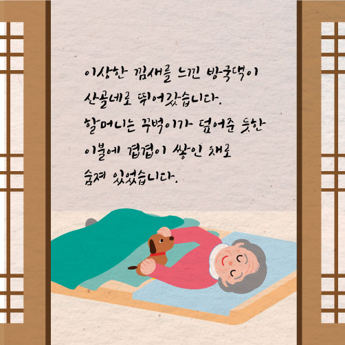 [카드뉴스]순천 동냥개 이야기
