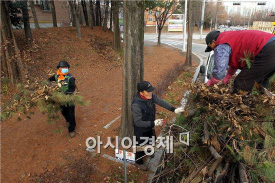 [포토]새해맞이 가로수 정비하는 공무원들