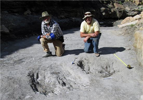 1억 년 전 지층에서 발견된 육식공룡 구애행위 화석(자료=문화재청)