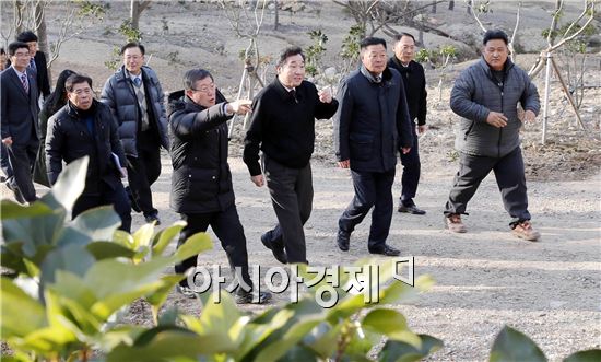 이낙연 전남도지사, 선도임업인 소득숲 조성 현황 살펴