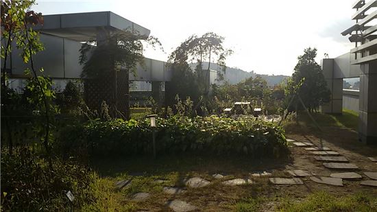 초록빛 G밸리 만들기 돌입 