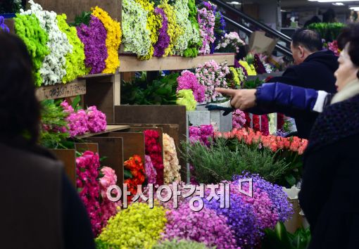 [포토]'다양한 꽃들 구경하는 시민들'
