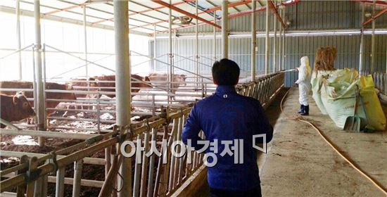 장흥군은 구제역 차단을 위해 지난 12일 구제역 특별방역 상황실을 꾸리고 장흥축협가축시장을 비롯한 주요 방역 거점의 소독을 강화하고 나섰다.  
