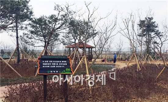 함평군(군수 안병호)이 학교면 舊학교역사 터에 조성한 ‘학다리 지역사회 나눔숲’을 완공해 지역민에 개방한다.